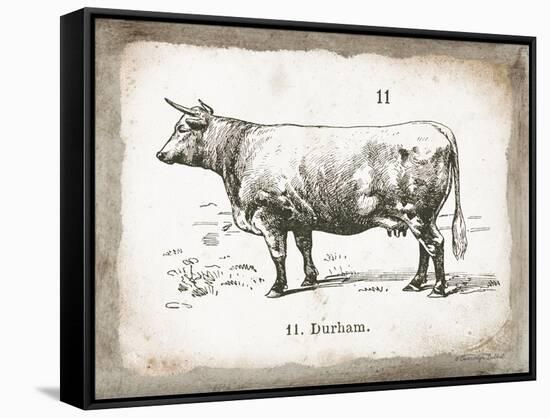 French Cow II-Gwendolyn Babbitt-Framed Stretched Canvas