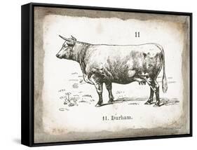 French Cow II-Gwendolyn Babbitt-Framed Stretched Canvas