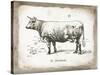 French Cow II-Gwendolyn Babbitt-Stretched Canvas