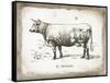 French Cow II-Gwendolyn Babbitt-Framed Stretched Canvas