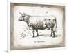 French Cow II-Gwendolyn Babbitt-Framed Art Print