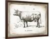 French Cow II-Gwendolyn Babbitt-Framed Art Print