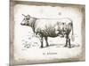 French Cow II-Gwendolyn Babbitt-Mounted Art Print
