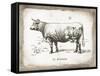 French Cow II-Gwendolyn Babbitt-Framed Stretched Canvas