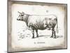 French Cow II-Gwendolyn Babbitt-Mounted Art Print