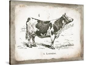 French Cow III-Gwendolyn Babbitt-Stretched Canvas