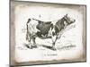 French Cow III-Gwendolyn Babbitt-Mounted Art Print