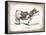 French Cow III-Gwendolyn Babbitt-Framed Stretched Canvas