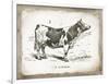 French Cow III-Gwendolyn Babbitt-Framed Art Print