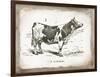 French Cow III-Gwendolyn Babbitt-Framed Art Print