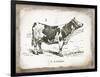 French Cow III-Gwendolyn Babbitt-Framed Art Print