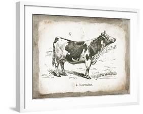 French Cow III-Gwendolyn Babbitt-Framed Art Print