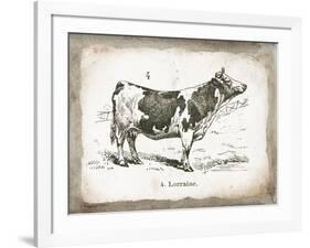 French Cow III-Gwendolyn Babbitt-Framed Art Print