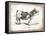 French Cow III-Gwendolyn Babbitt-Framed Stretched Canvas