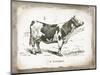 French Cow III-Gwendolyn Babbitt-Mounted Art Print