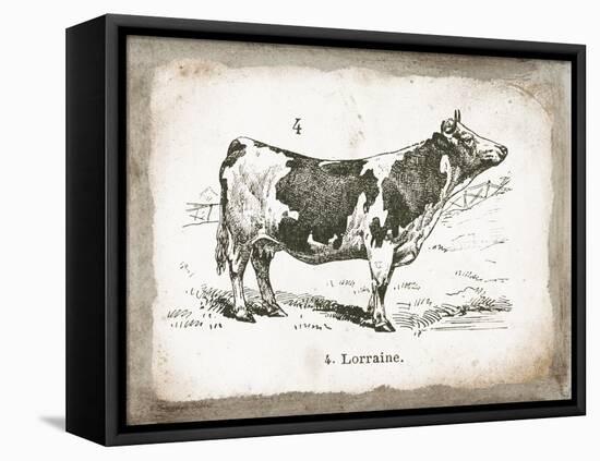 French Cow III-Gwendolyn Babbitt-Framed Stretched Canvas