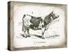 French Cow III-Gwendolyn Babbitt-Stretched Canvas