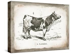 French Cow III-Gwendolyn Babbitt-Stretched Canvas