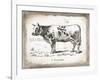 French Cow IV-Gwendolyn Babbitt-Framed Art Print