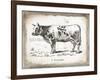 French Cow IV-Gwendolyn Babbitt-Framed Art Print
