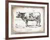 French Cow IV-Gwendolyn Babbitt-Framed Art Print