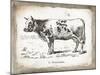 French Cow IV-Gwendolyn Babbitt-Mounted Art Print