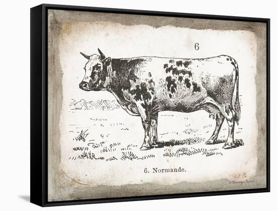 French Cow IV-Gwendolyn Babbitt-Framed Stretched Canvas