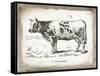 French Cow IV-Gwendolyn Babbitt-Framed Stretched Canvas