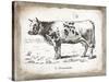 French Cow IV-Gwendolyn Babbitt-Stretched Canvas