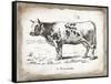 French Cow IV-Gwendolyn Babbitt-Framed Stretched Canvas