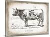 French Cow IV-Gwendolyn Babbitt-Stretched Canvas