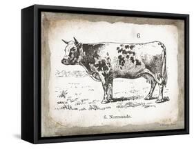 French Cow IV-Gwendolyn Babbitt-Framed Stretched Canvas
