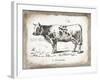 French Cow IV-Gwendolyn Babbitt-Framed Art Print