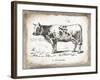 French Cow IV-Gwendolyn Babbitt-Framed Art Print