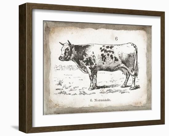 French Cow IV-Gwendolyn Babbitt-Framed Art Print