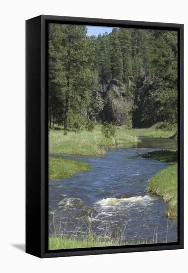 French Creek, Where Gold Was Discovered in the Black Hills, South Dakota-null-Framed Stretched Canvas