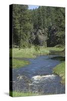 French Creek, Where Gold Was Discovered in the Black Hills, South Dakota-null-Stretched Canvas