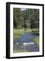 French Creek, Where Gold Was Discovered in the Black Hills, South Dakota-null-Framed Photographic Print