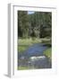 French Creek, Where Gold Was Discovered in the Black Hills, South Dakota-null-Framed Photographic Print