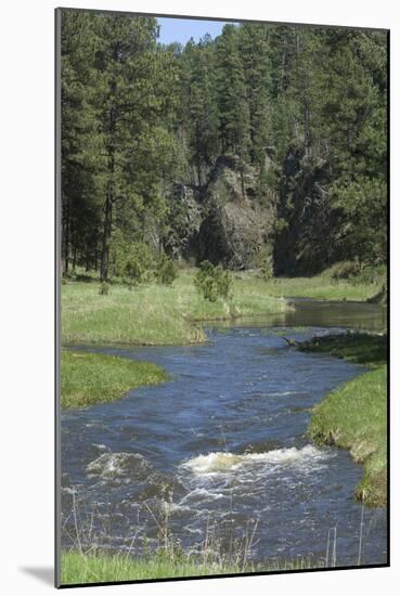 French Creek, Where Gold Was Discovered in the Black Hills, South Dakota-null-Mounted Photographic Print