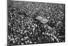 French Crowds Cheering Pershing and Joffre, Hotel Crillon, Paris, First World War, 1917-null-Mounted Giclee Print