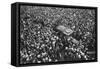 French Crowds Cheering Pershing and Joffre, Hotel Crillon, Paris, First World War, 1917-null-Framed Stretched Canvas