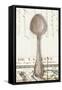 French Cuisine Spoon-Devon Ross-Framed Stretched Canvas