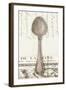 French Cuisine Spoon-Devon Ross-Framed Art Print