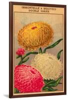 French Dahlia Seed Packet-null-Framed Art Print