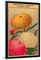 French Dahlia Seed Packet-null-Framed Art Print