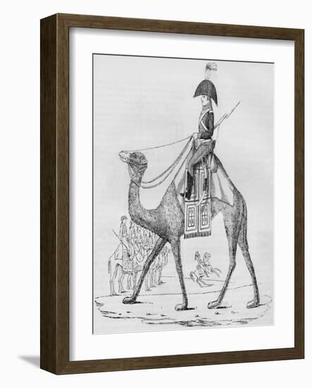 French Domedary Regiment. Captured with a Convoy in the Lybian Desert, May, 1801-null-Framed Giclee Print