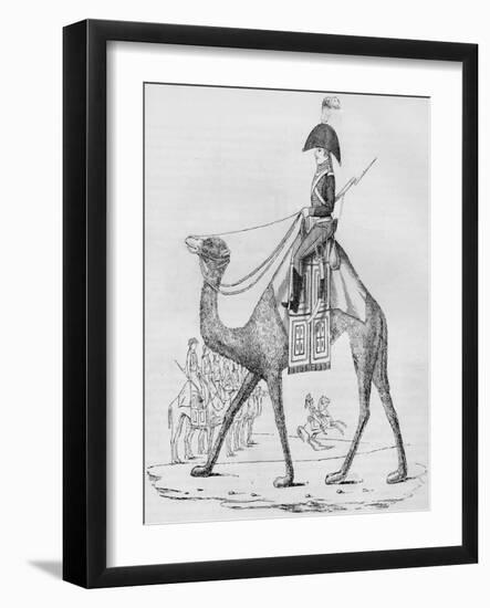 French Domedary Regiment. Captured with a Convoy in the Lybian Desert, May, 1801-null-Framed Giclee Print