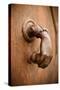 French Door Knocker I-Erin Berzel-Stretched Canvas