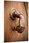 French Door Knocker I-Erin Berzel-Mounted Photographic Print